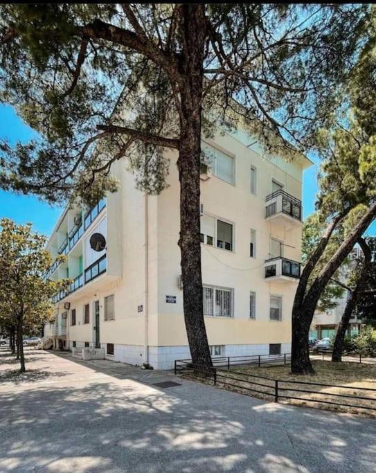 Apartment Music-Center, In The Center Of Podgorica Zewnętrze zdjęcie